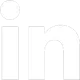 LINKEDIN ICON